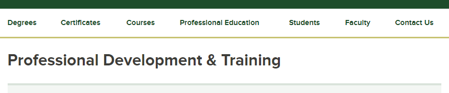 Professional Development